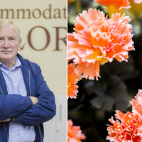 Hermanus - Accommodation Galore - Owner