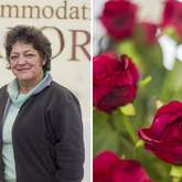 Hermanus - Accommodation Galore - Agent