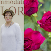 Hermanus - Accommodation Galore - Long-term Rental Agent