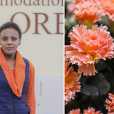 Hermanus - Accommodation Galore - Rental Properties Agent