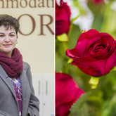 Hermanus - Accommodation Galore - Short-term Rental Agent