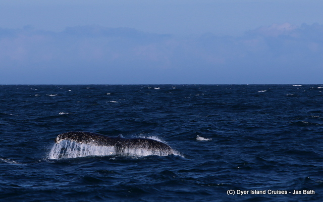 7DM29375_1565078912 7DM29375_1565078912