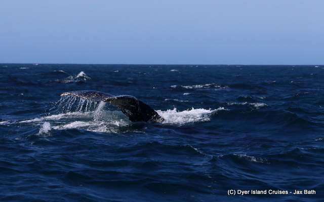 7DM29571_1565078913 7DM29571_1565078913