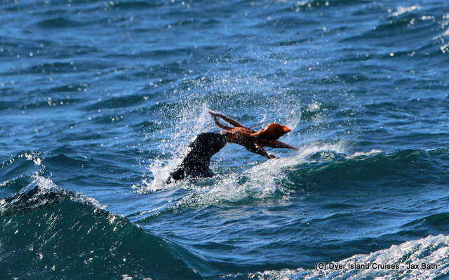 7DM29582_1565078914 7DM29582_1565078914