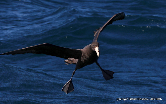 7DM29603_1565078915 7DM29603_1565078915