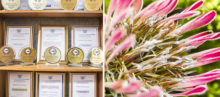 gansbaai_education_primary_school_laerskool_gansbaai_achievements_1565342619