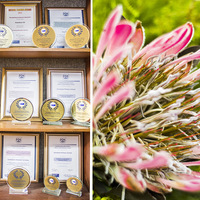 Laerskool Gansbaai Primary School - Achievements