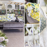 Hermanus Factory Shop - Rabbit Range