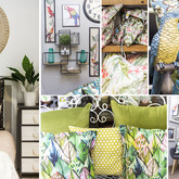 Hermanus Factory Shop - Green Parrot Wild Theme