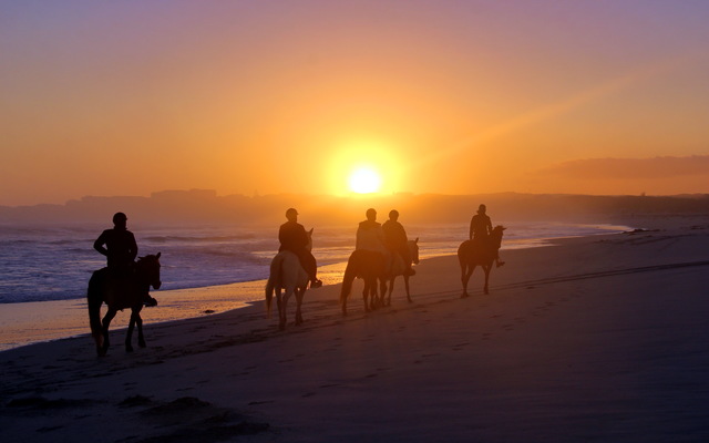Gansbaai & Pearly Beach Horse Trails Gansbaai & Pearly Beach Horse Trails