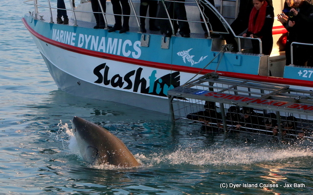 7DM22175_1566456054 7DM22175_1566456054