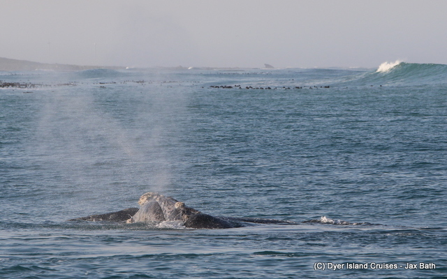 7DM22292_1566456051 7DM22292_1566456051