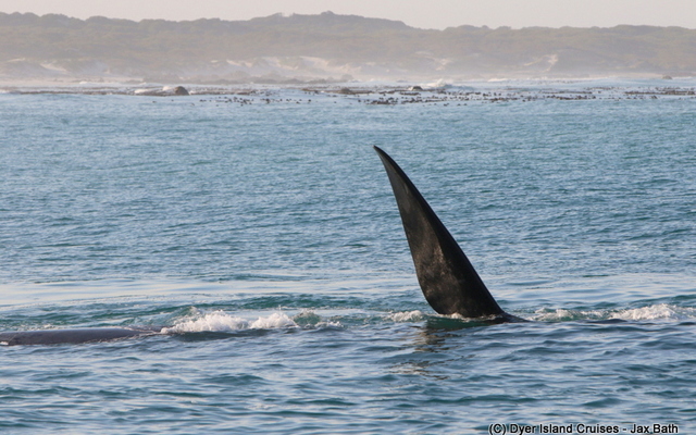 7DM22313_1566456052 7DM22313_1566456052