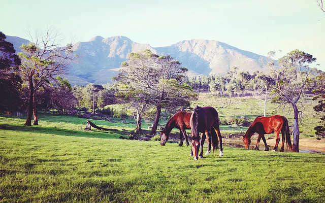 goodwill_mountain__1566468487