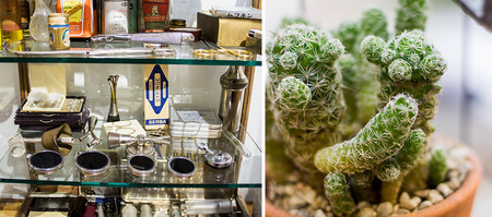 hermamus_medical_services_doctors_gynaecologist_dr_paul_de_flamingh_decor_in_waiting_room_1566471951