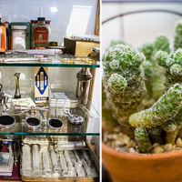 Hermanus - Dr Paul de Flamingh Gynaecologist - Decor