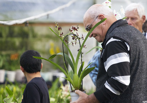Eikenhoff Orchid Nursery Open Day - 7 September 2019