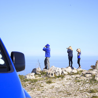 Hermanus - Percy Tours - Whale Watching