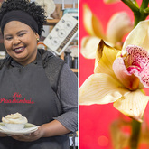 Hermanus - Die Plaaskombuis - Freshly Baked