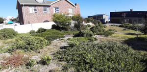 595 m² Vacant Land for Sale in De Kelders 