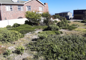 595 m² Vacant Land for Sale in De Kelders 