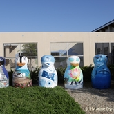 Gansbaai Penguin Campaign