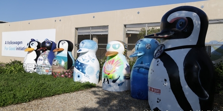 034_fixed_IMG_4280.scale_400_1566569587