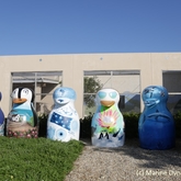 Gansbaai Penguin Campaign