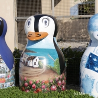 Gansbaai Penguin Campaign
