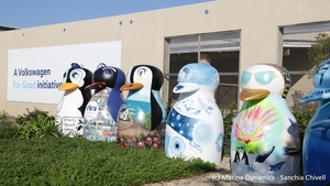 Gansbaai's Penguin Campaign