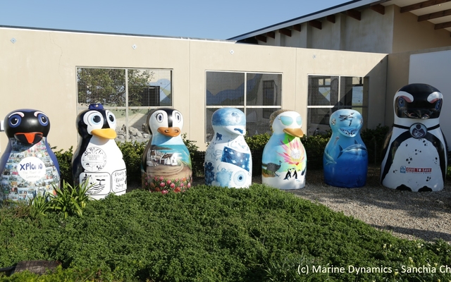 062_fixed_IMG_4308.scale_400_1566569527_1566573197