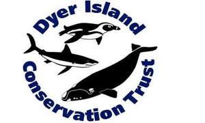 Dyer Island Conservation Trust Logo