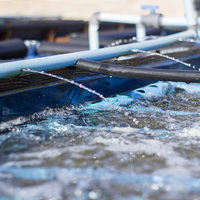 Hermanus - Heart of Abalone - Water Pumping In