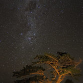 African Nightsky