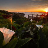 Hugh-Daniel Grobler Photography