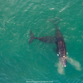 Hugh-Daniel Grobler Photography