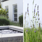 Hermanus - The Vishuis - Exterior Swimming Pool