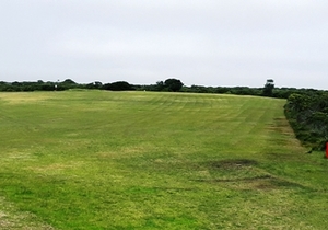 Annual Golf Fees for 2019 and 2020 