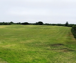 Annual Golf Fees for 2019 and 2020 