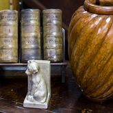 Hermanus - Hemingways Bookshop - Vintage Books