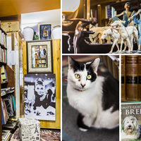 Hermanus - Hemingways Bookshop - Books