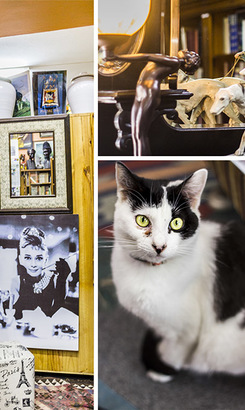 vintage_passion_itemshermanus_speciality_shop_hemingway_bookshop__1567402780