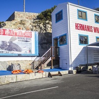 Hermanus Whale Cruises - Exterior