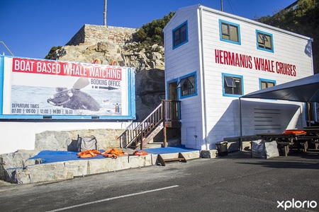 hermanus_things_to_do_whale_watching_hermanus_whale_cruises_outside_view_1567406119