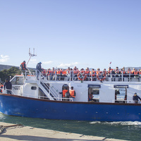 Hermanus Whale Cruises - The Boat