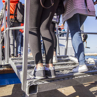 Hermanus Whale Cruises - Whale Watching