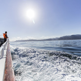 Hermanus Whale Cruises - Whale Watching
