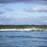 Hermanus Whale Cruises - View of the beach