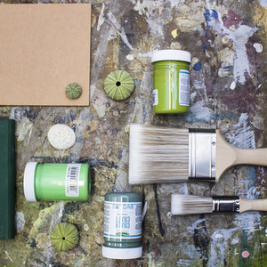 bredasdorp_paint_store_multicoat_paint_flooring_and_ceilings_arts_and_crafts_1_1558420145_1567423348