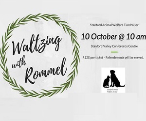 Waltzing with Rommel - Illustrated Talk By James Gray